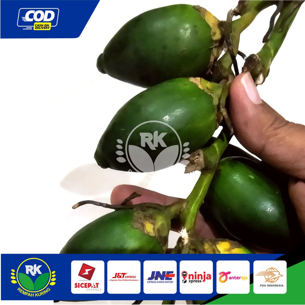 

PINANG MUDA/JAMBE MUDA / BIJIAN MINIMAL ORDER 10 BIJI TERMURAH REMPAH KURING