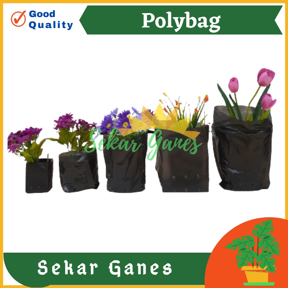 1 Polybag Tanaman Polibag Tebal Kecil Sedang 10x12 15x15 20x20 25x25 30x30 Pot Plastik Polibek Murah