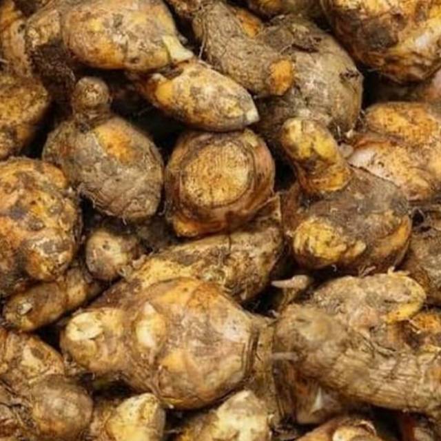 

Temulawak segar 500gr