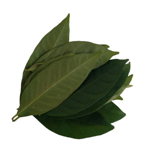 

Herbal Bumbu Nasi Uduk Daun Salam Segar 50 Gram