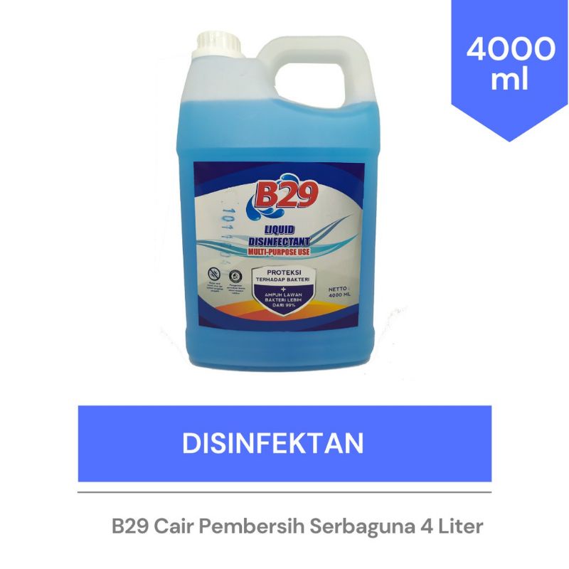 B29 Disinfectant Liquid / Disinfektan Cair - 4 Lt