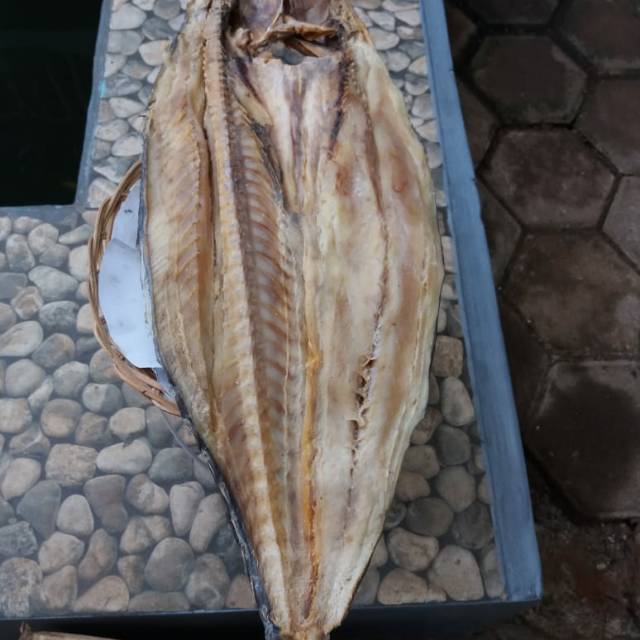 

Ikan asin tenggiri