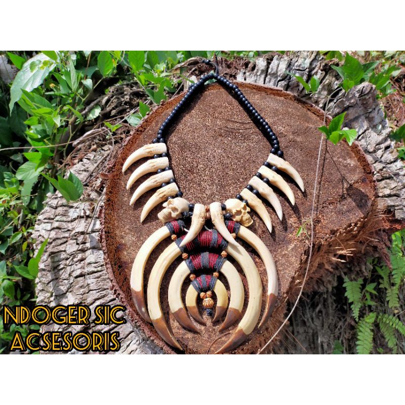 kalung taring khas dayak taring babi