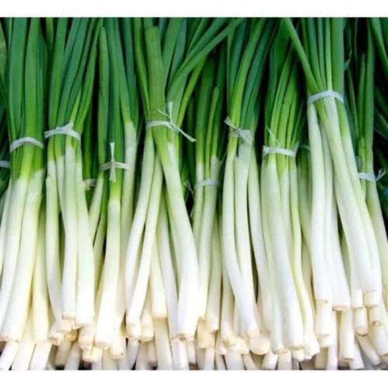 

BSM | TERMURAH Daun Bawang Buang Akar Segar 500gr - 1kg | Sayur online