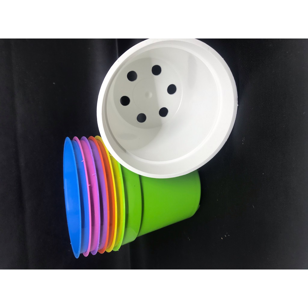 Kit Microgreen Pot Mini Lucu nan Cantik