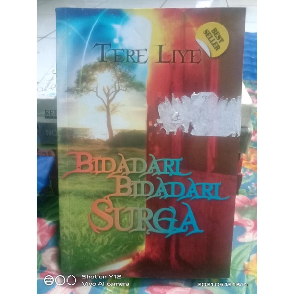 bidadari-bidadari surga Tere liye