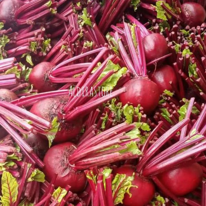 

Awas!!!✅ Buah Bit Kualitas Super Spec Market 1Kg #PRICEDISCOUNT