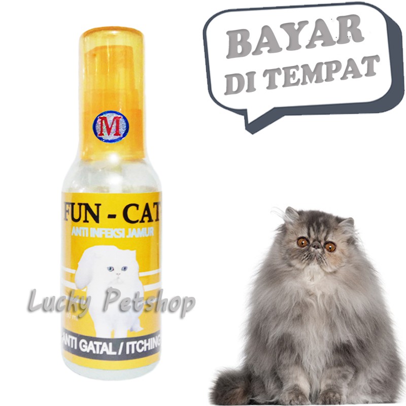OBAT JAMUR KORENG SCABIES KUCING FUN CAT SEMPROT
