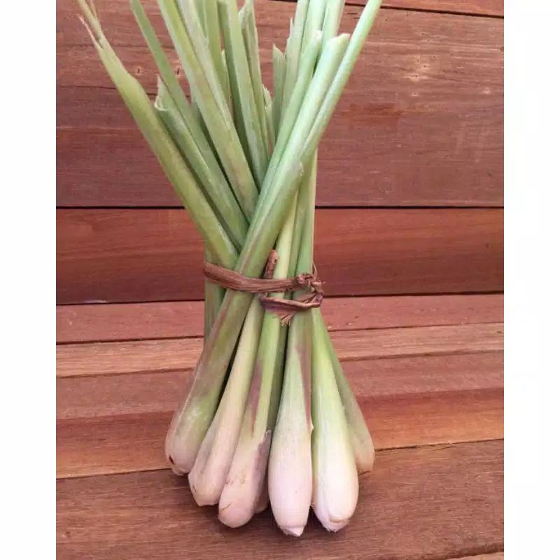 

herbal daun sereh organik
