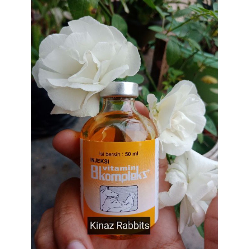 Vitamin B Kompleks hewan sale