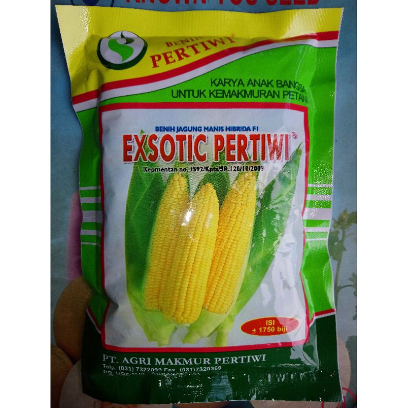 Benih Bibit Jagung Manis EXOTIC PERTIWI Isi 1750biji