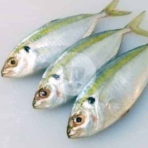 

Ikan Selar 500 g