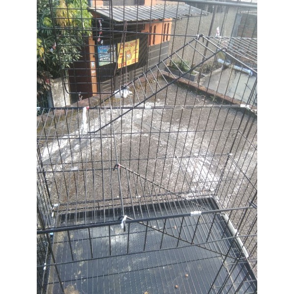 kandang kucing bekas ukuran 75x50x100
