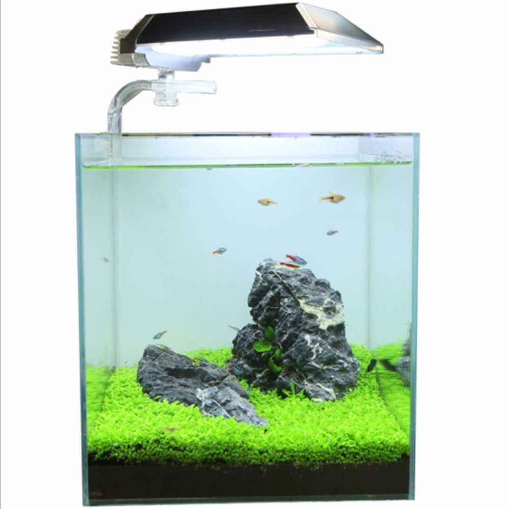 Bayar Ditempat Bibit Rumput Air Dekorasi Aquarium Landscape Ornament - H0027