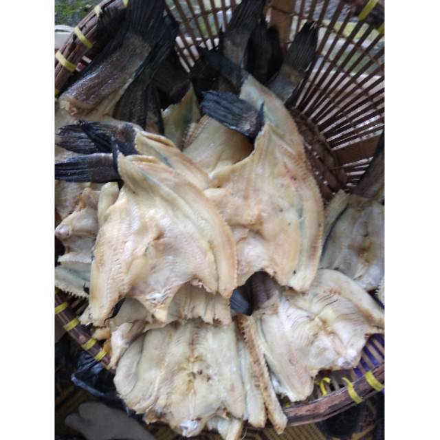 

Ikan gabus garih khas kalimantan