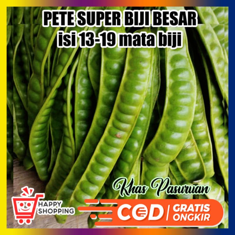 

pete/ petai super jumbo pilihan grade A