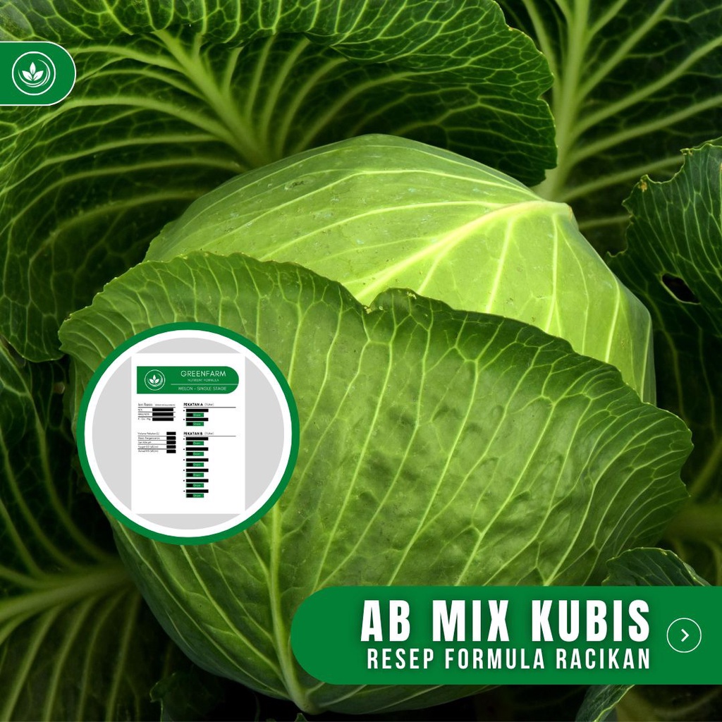 Resep AB Mix Kubis Formula Racikan Nutrisi AB Mix Kubis