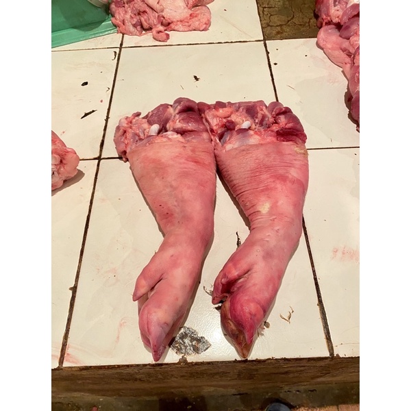

Kaki Depan Babi B2