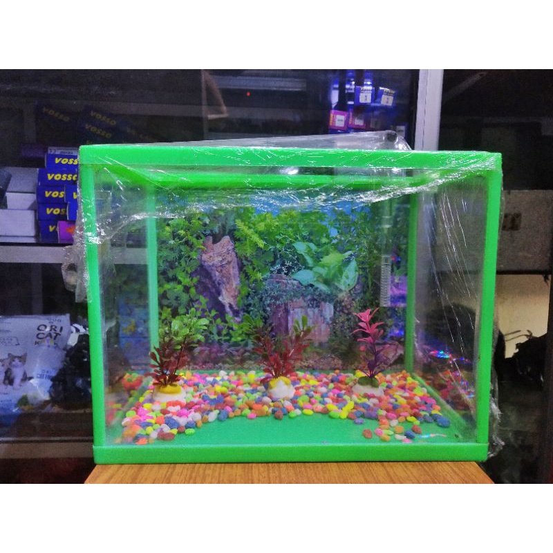 AQUARIUM TRISET FULL KACA UKURAN S 1SET SIAP PAKAI