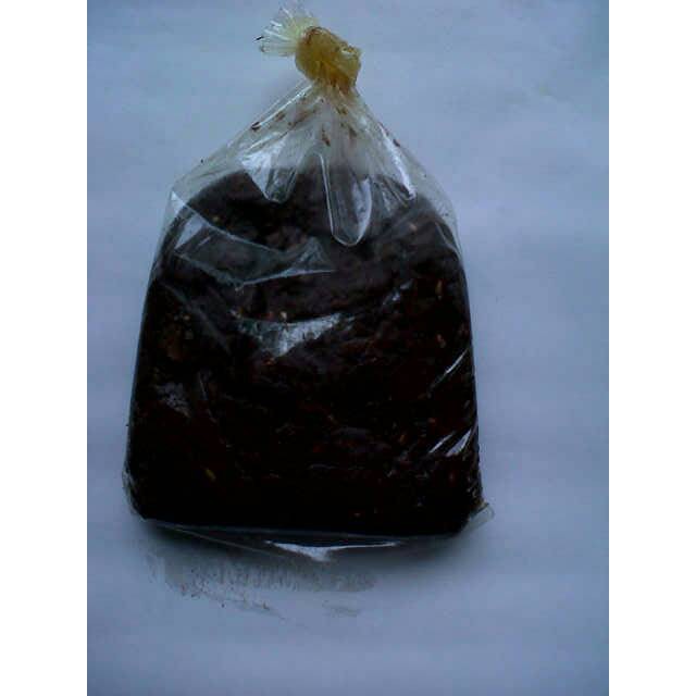 Order Langsung UMPAN GALATAMA LELE (BRONIS) Terlaris