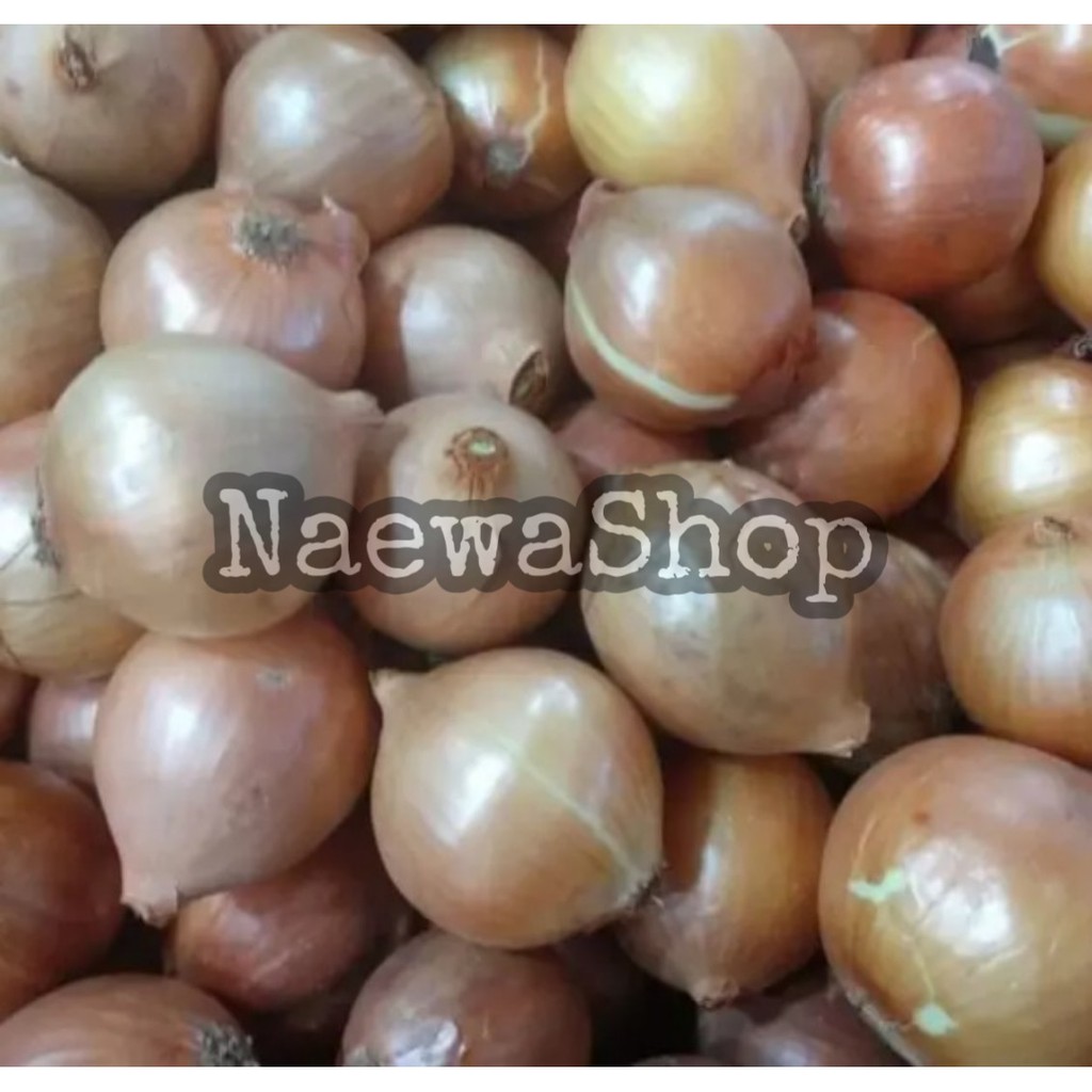 

Bawang Bombay - Onion 500 gram