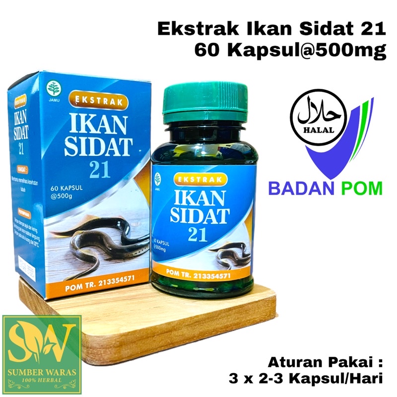 Jual Kapsul Ekstrak Ikan Sidat Bpom Ikan Sidat Kaya Omega Dha Epa Isi Kapsul Mg