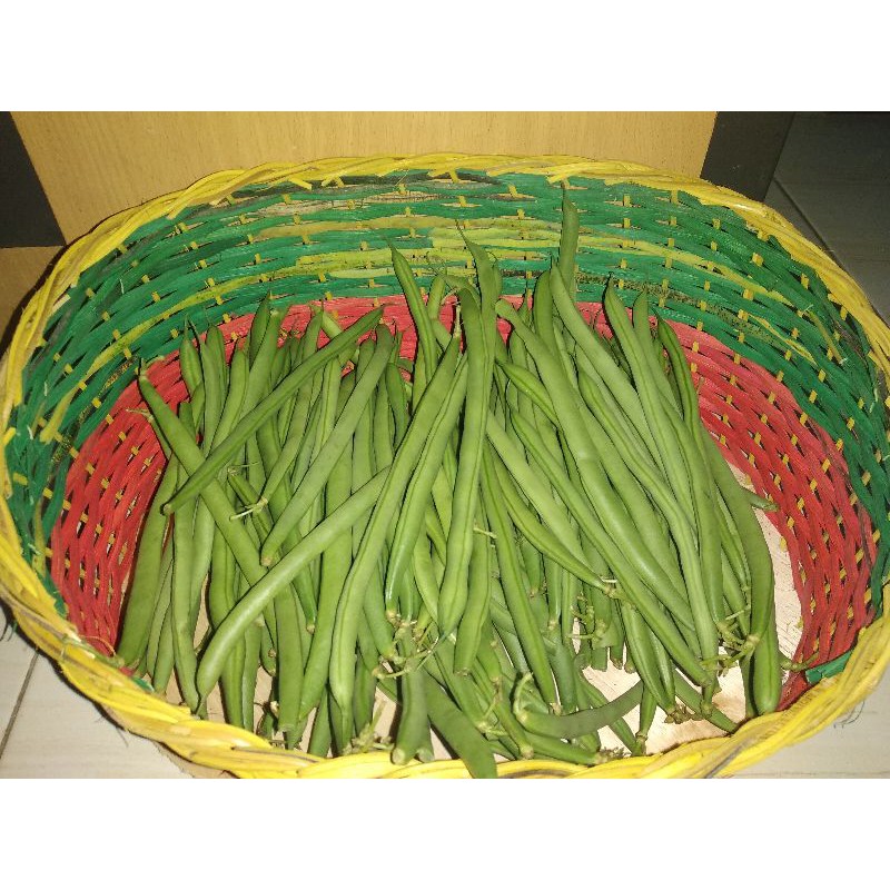 

Buncis Sayuran_500g-1Kg