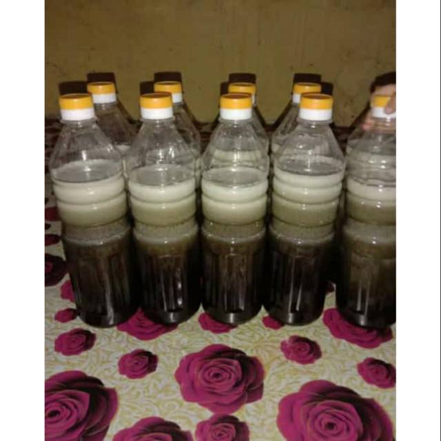 

Madu hitam pahit