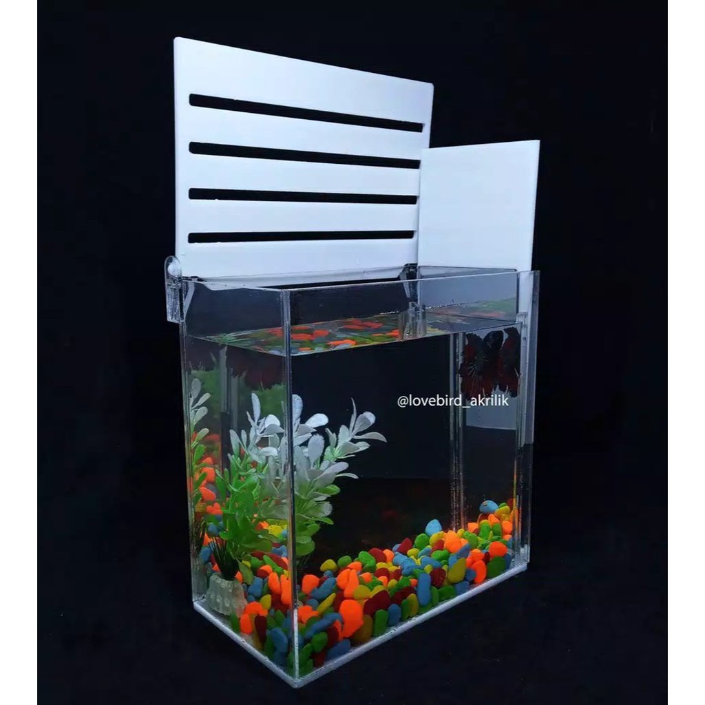 Jual Aquarium Mini Aquarium Akrilik Aquarium Ikan Hias Shopee