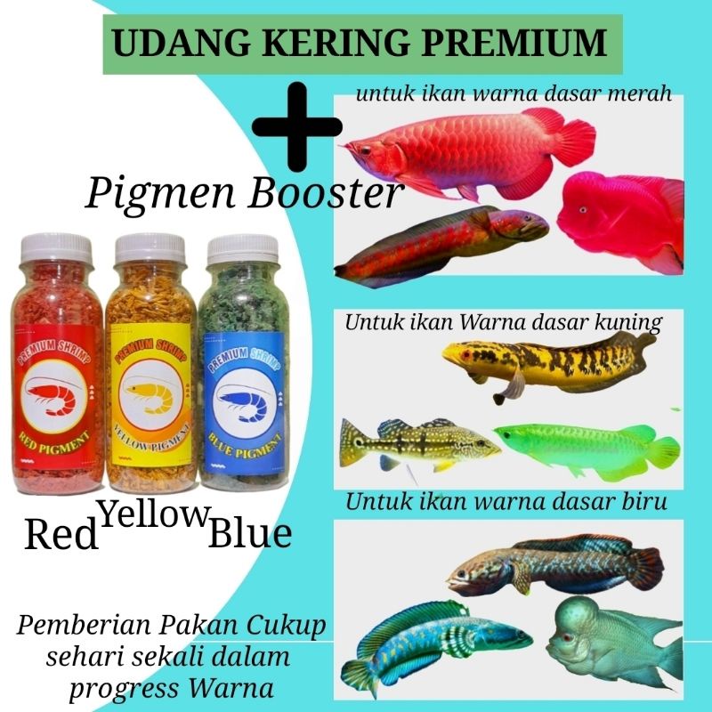 Udang Kering Premium Plus pigmen CAROPHYLL RED YELLOW BLUE untuk ikan CHANNA ARWANA LOUHAN dan ikan Predator