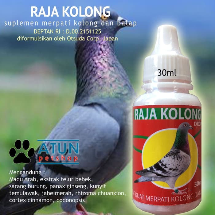 Raja Kolong Vitamin Stamina Burung Merpati Kolong Jantan Betina