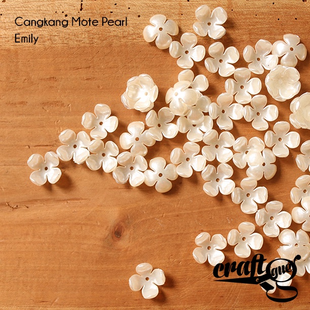 Cangkang Mote Pearl/Mutiara