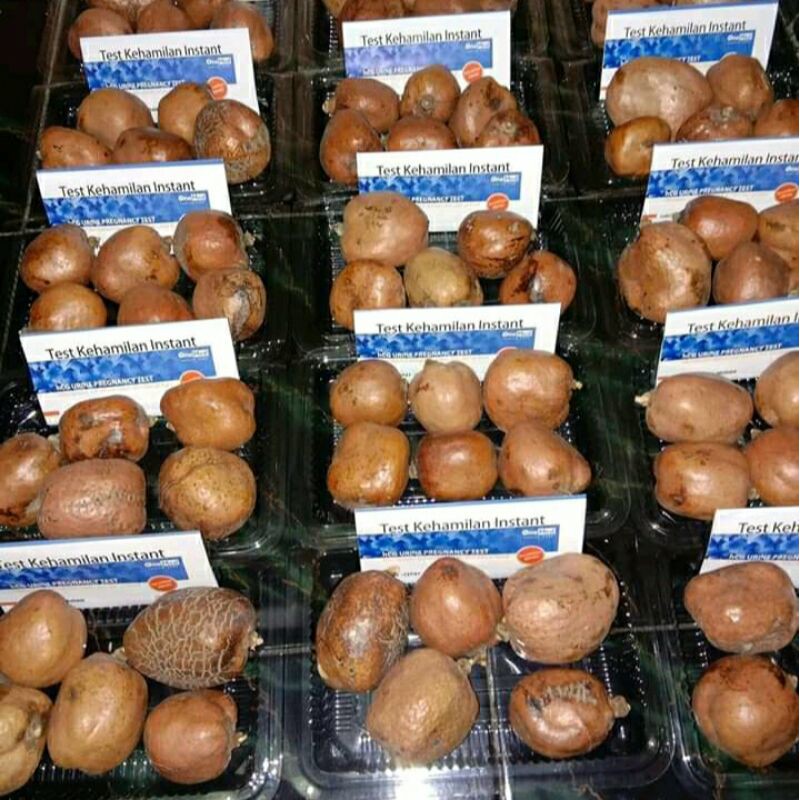 

1/4kg buah zuriat