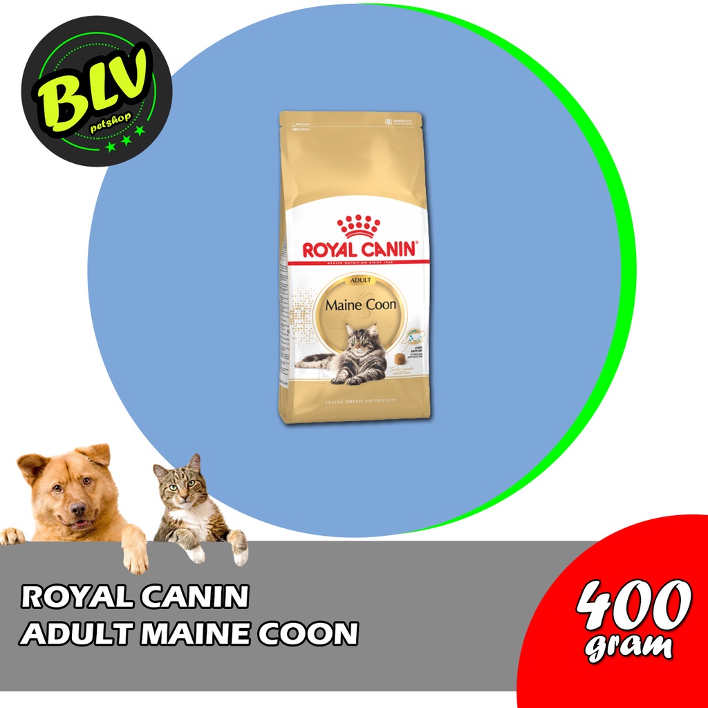 Royal Canin Adult Maine Coon 400gr