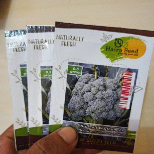 Benih Bibit Brokoli
