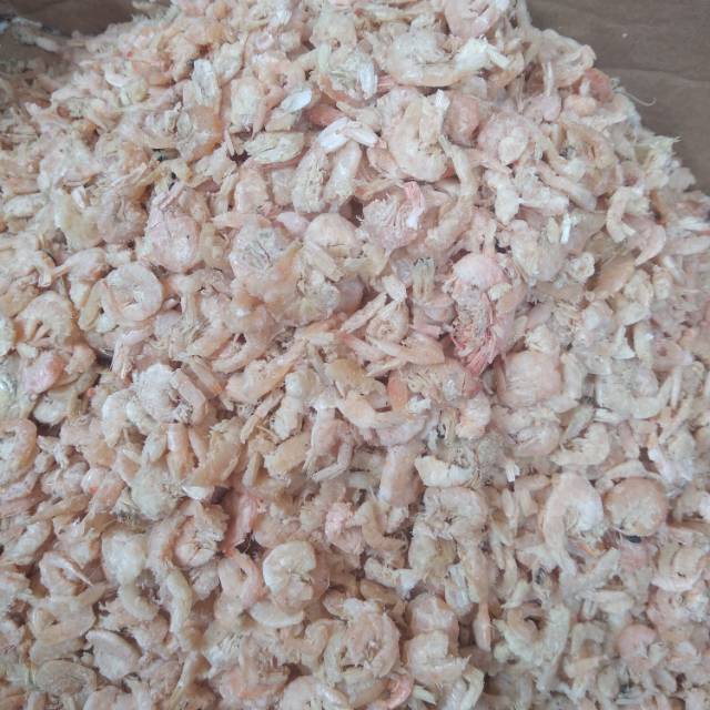 

UDANG EBI TAWAR MURAH