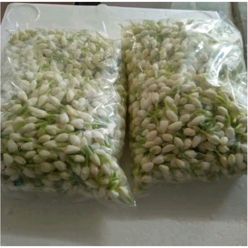 bunga melati tabur ronce 1000 gram flower jasmine original fresh