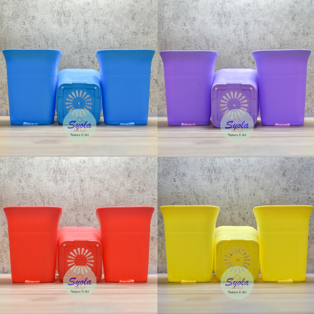 Pot kotak NKT 8cm warna warni