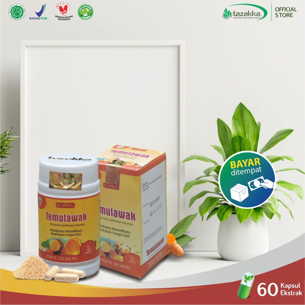 Herbal Magh Kapsul Temulawak Tazakka isi 60 kapsul ORIGINAL BPOM