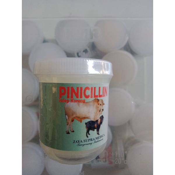pinisilin salep