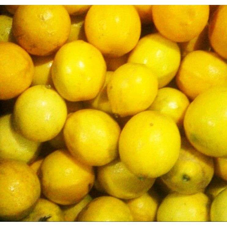 

Lemon Import California Fresh Buah Segar kemasan 1000 g