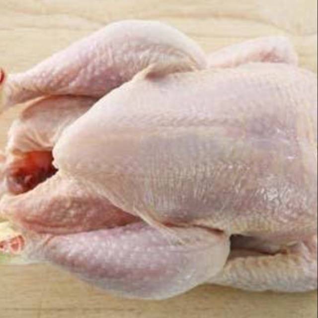 

Ayam utuh Broiler ( ukuran 1,2 kg)
