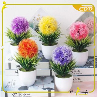 ONE C35 37 Ornamen Pot Bonsai Pajangan Dekorasi Rumah ONE C35 37 Ornamen Pot Bonsai Pajangan Dekorasi Rumah