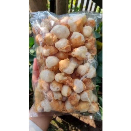 

SIOMAY KERING MINI/BATAGOR KERING MINI