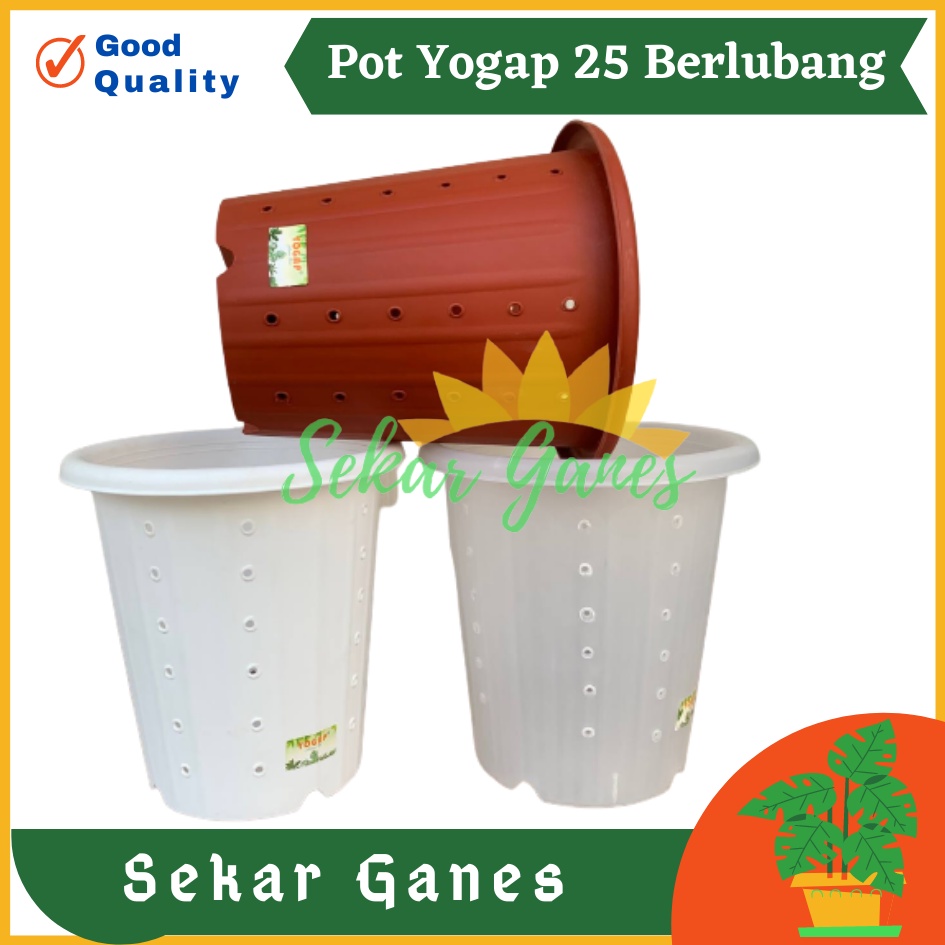 Sekarganes Pot Yogap YPT 25 Putih Bening Transparan Merah Bata Merah Coklat Terracota Terracotta  Berlubang