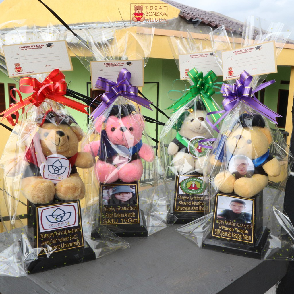 Piala Boneka Wisuda Murah Teddy Bear Kecil Mini Kado Hadiah graduation TK toga Nama Ultah Pilbon