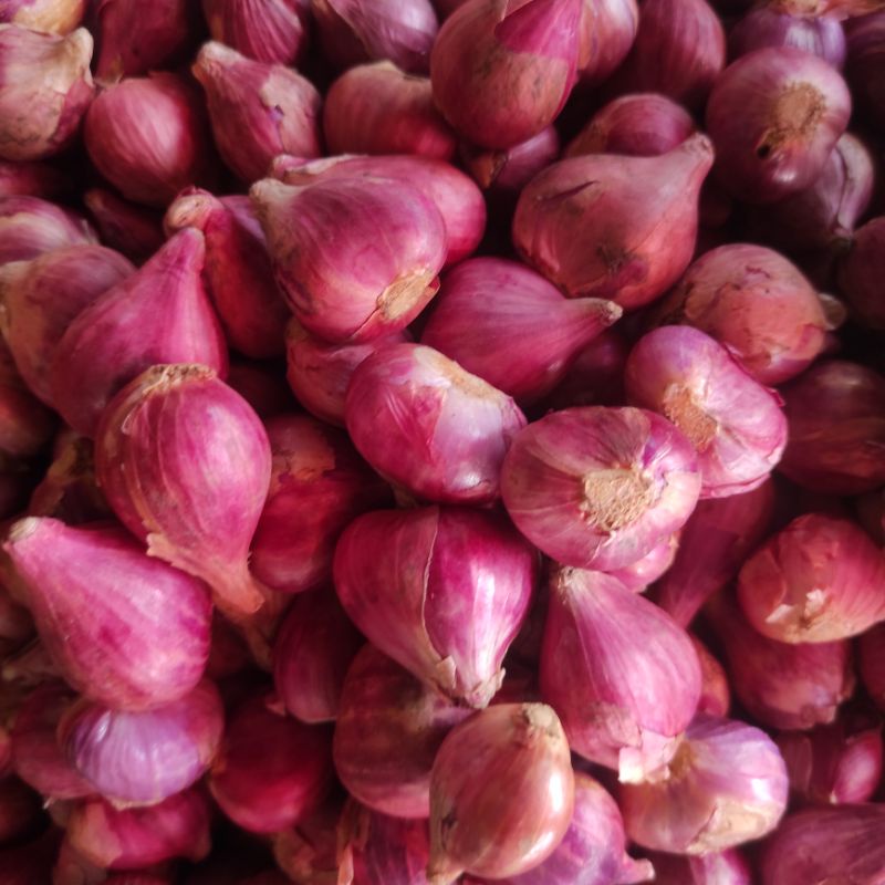 

Bawang Merah Brebes 500gram