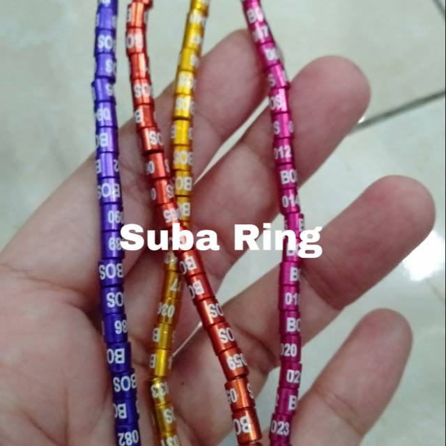 Ring Burung sampel konin d pleci