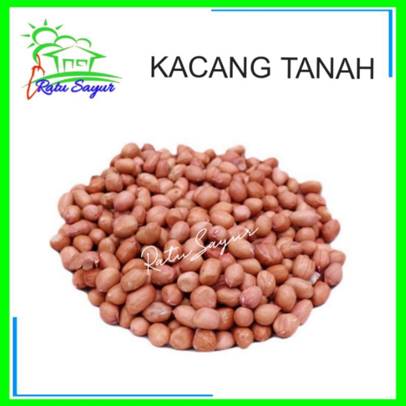 

Kacang tanah/Ratu Sayur