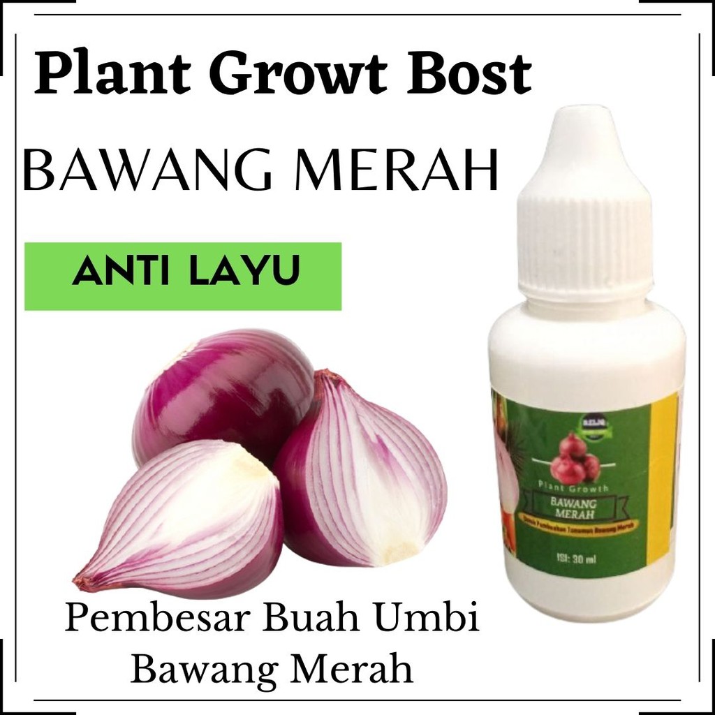Pembesar Umbi Bawang Merah, Pupuk Hormon Bawang Merah RELIQ PREMIUM, Obat Pembesar Umbi Bawang Merah